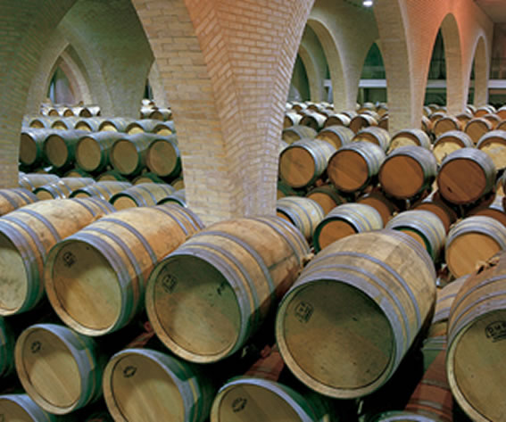 SALIDA A NAVARRA Y VISITA A BODEGAS IRACHE