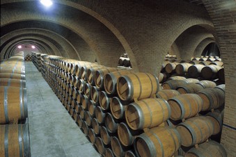 SALIDA AUTOCARAVANISTA A NAVARRA Y VISITA A BODEGAS IRACHE